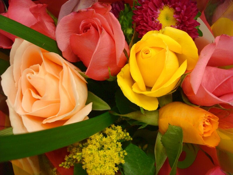 Colorful rose bouquet