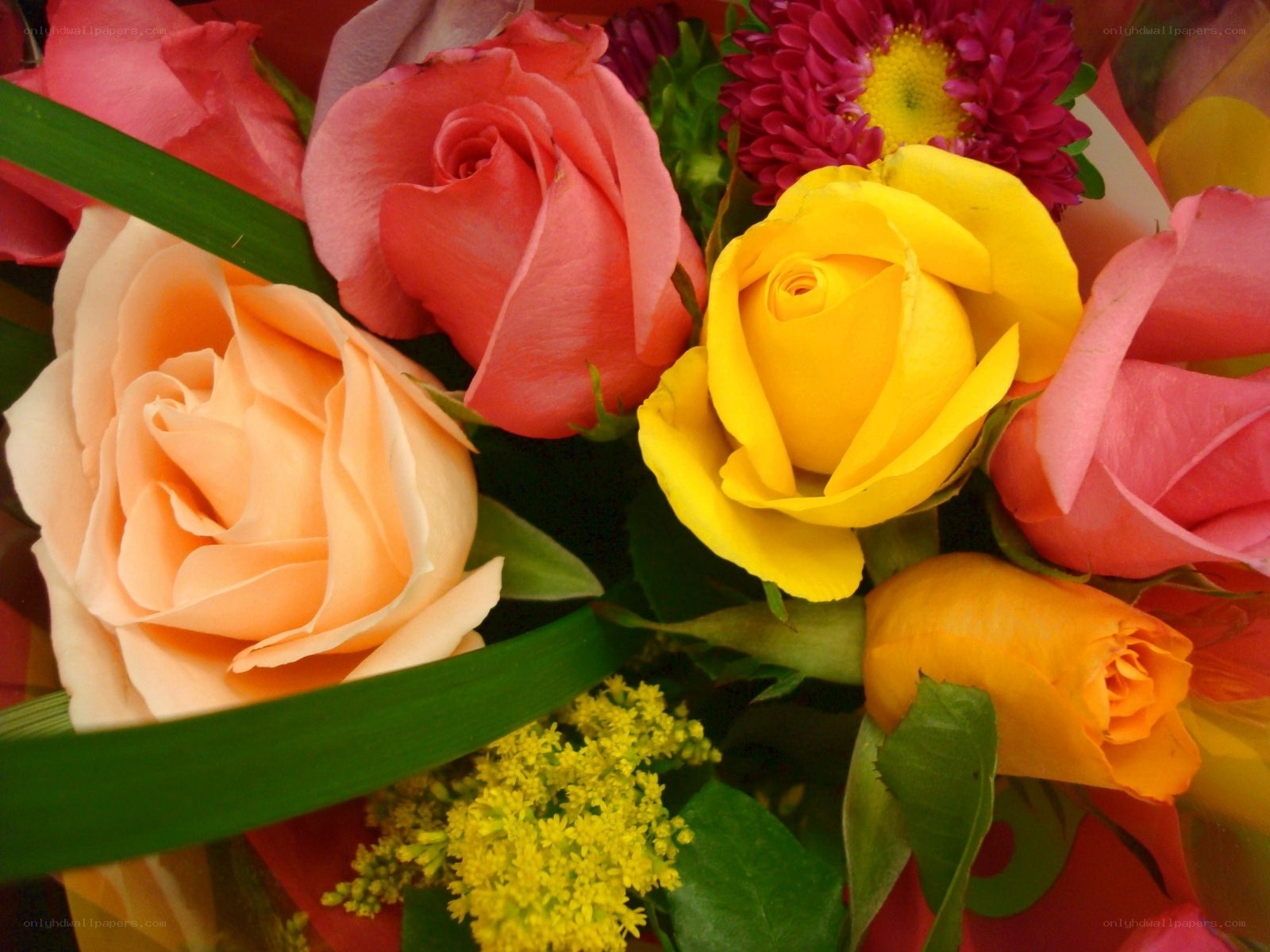 Colorful rose bouquet