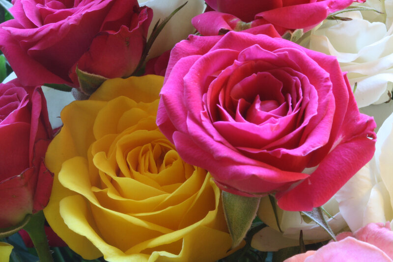 Colorful rose bouquet