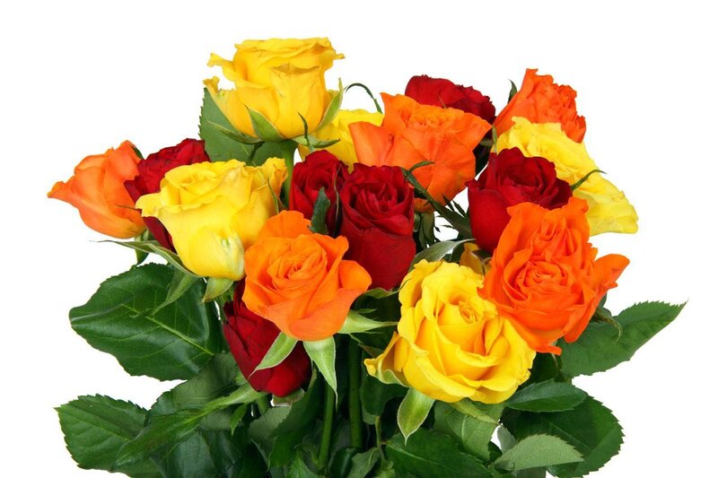 colorful rose bouquet