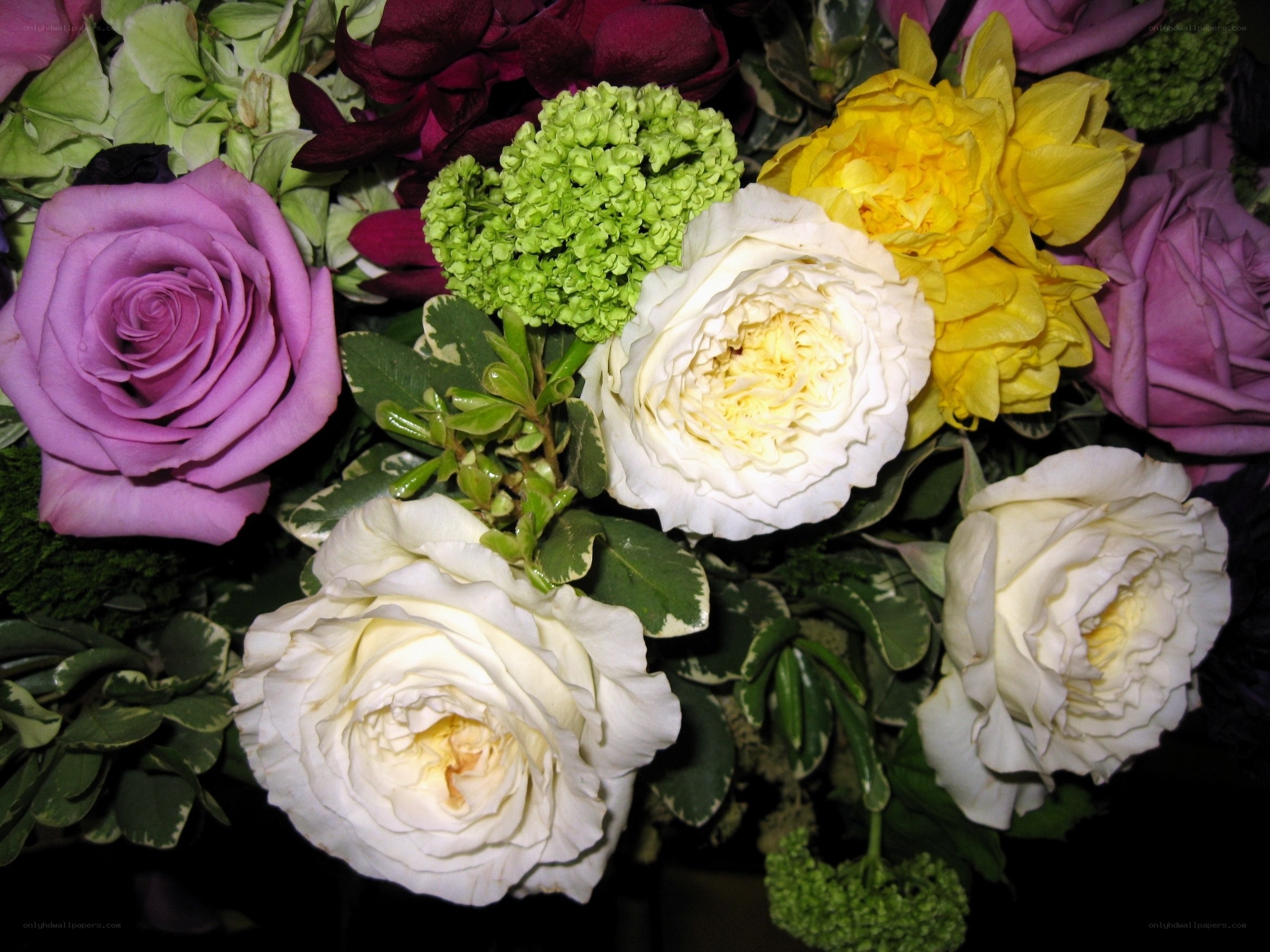 colorful rose bouquet