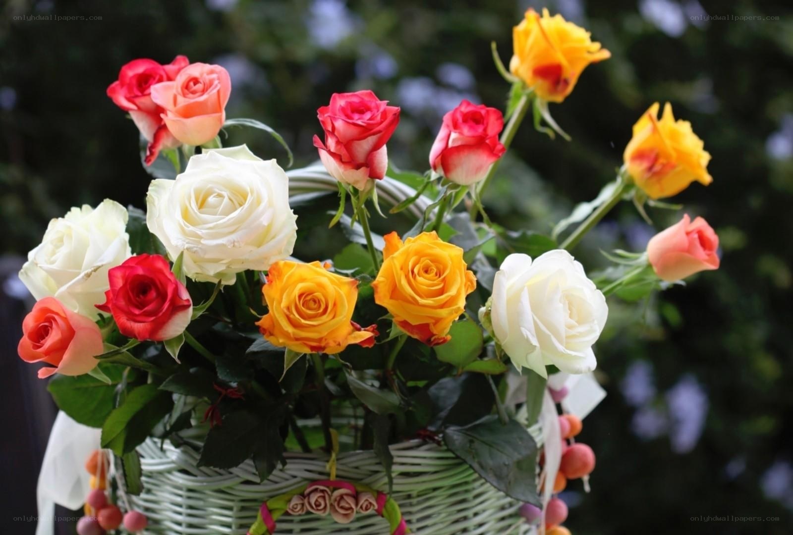 Colorful rose bouquet in basket