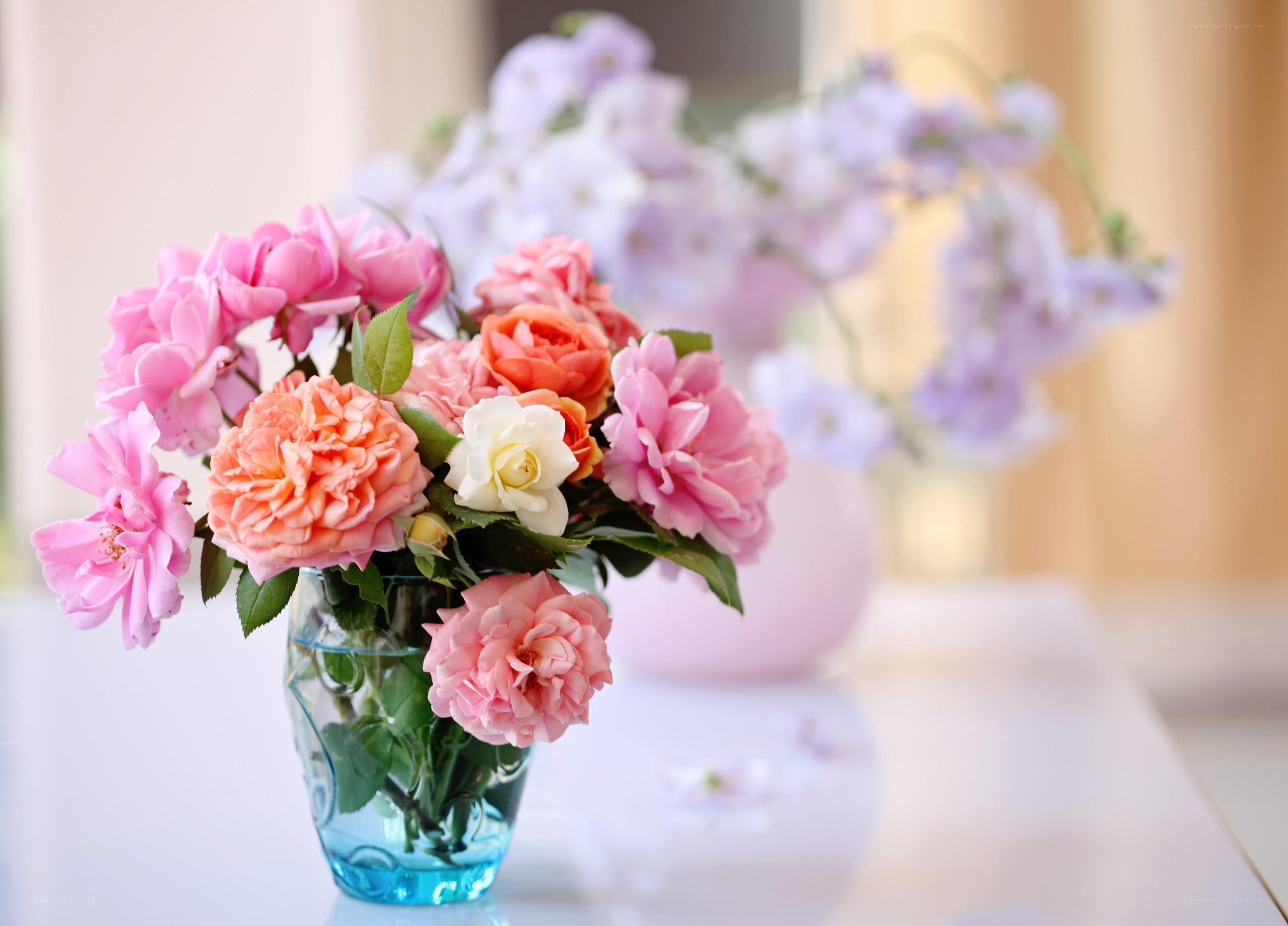 Colorful rose bouquet in vase