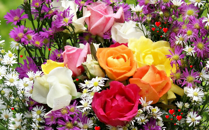 Colorful Rose Bouquet — Pink, Festive