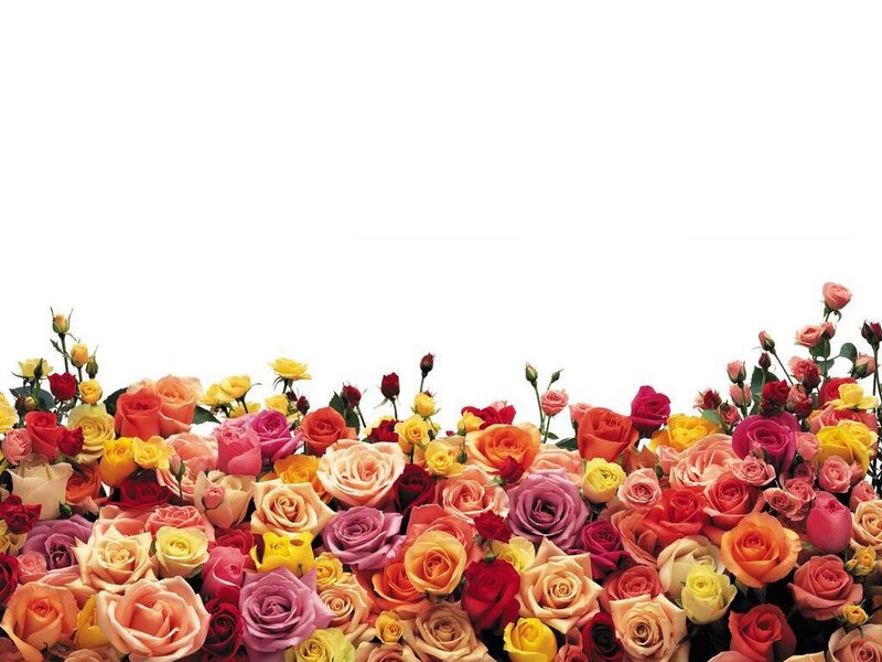 Colorful Rose Bouquet — Pink