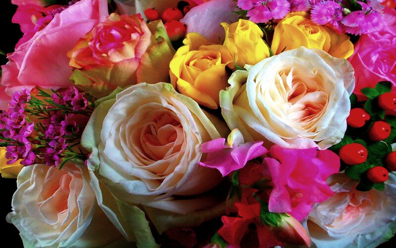 Colorful Rose Bouquet — Pink, Vibrant, Photograph
