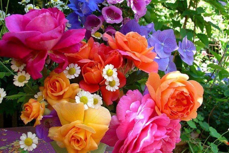 Colorful Rose Bouquet — Pink, Vibrant