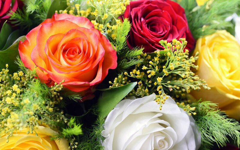 Colorful Rose Bouquet — Red, Calm