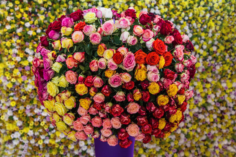 Colorful Rose Bouquet — Red, Festive, Photograph, Flowers