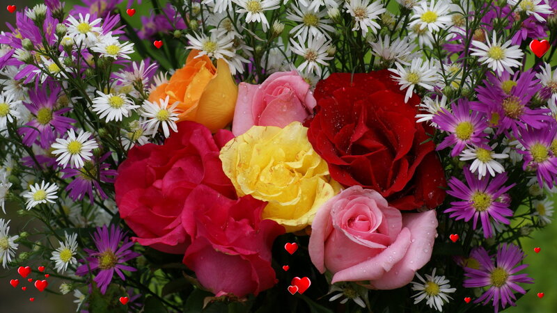 Colorful Rose Bouquet — Red, Festive
