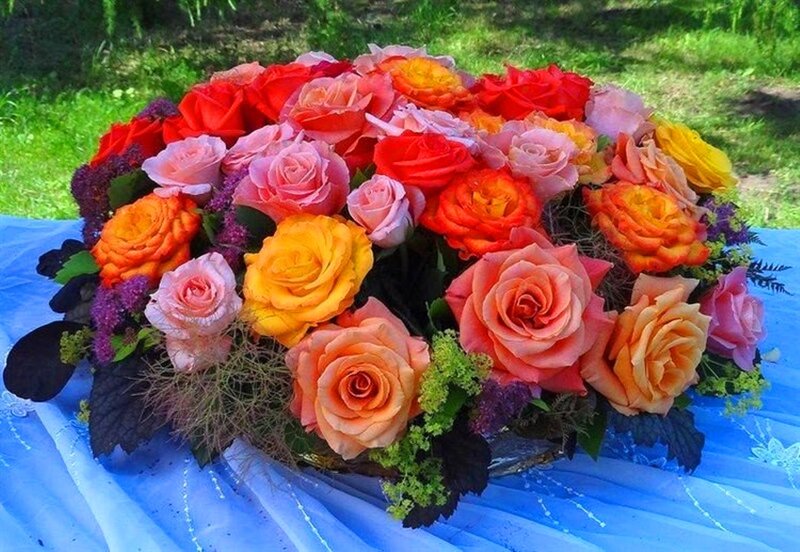 Colorful Rose Bouquet — Red, Vibrant, Afternoon