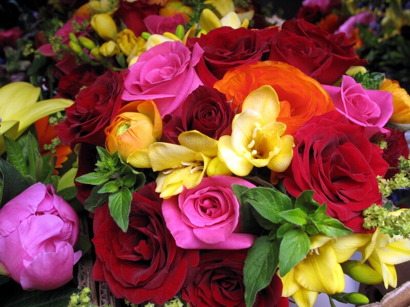 Colorful Rose Bouquet — Red, Vibrant, Photograph, Roses, Crocus