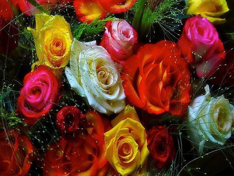Colorful Rose Bouquet — Red, Vibrant, Photograph