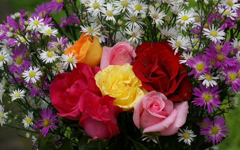 Colorful Rose Bouquet — Red, Vibrant