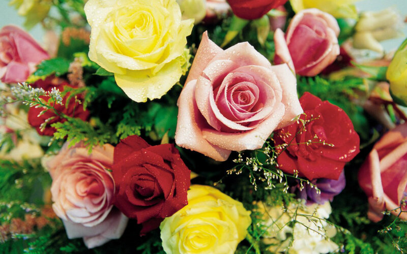 Colorful Rose Bouquet — Yellow, Calm