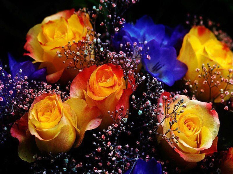 Colorful Rose Bouquet — Yellow, Dramatic