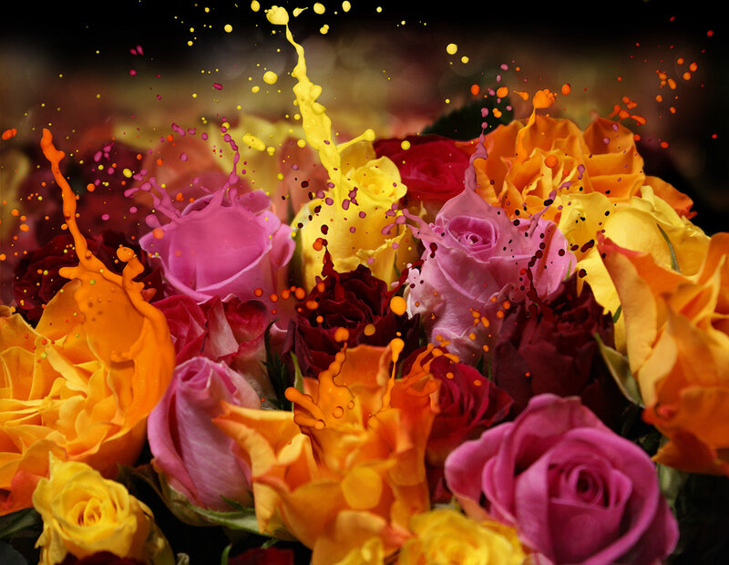 Colorful Rose Bouquet — Yellow, Dynamic