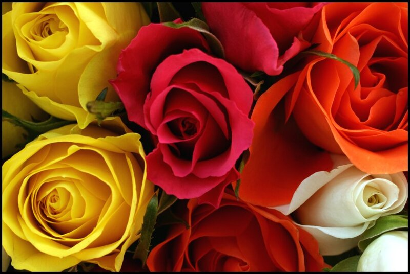 Colorful Rose Bouquet — Yellow