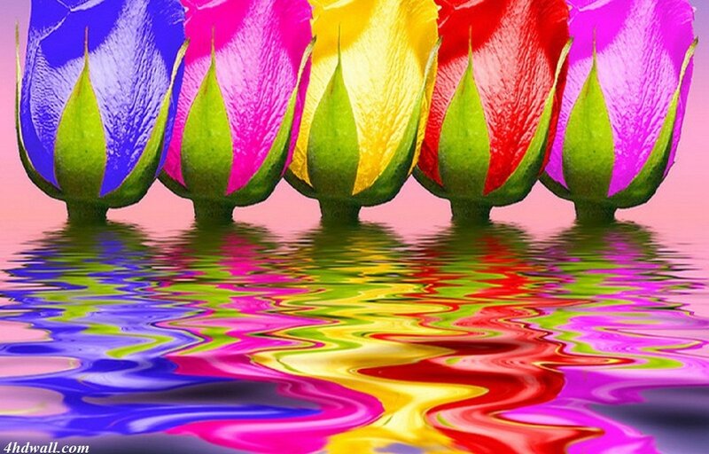 Colorful Rose Buds — Blue