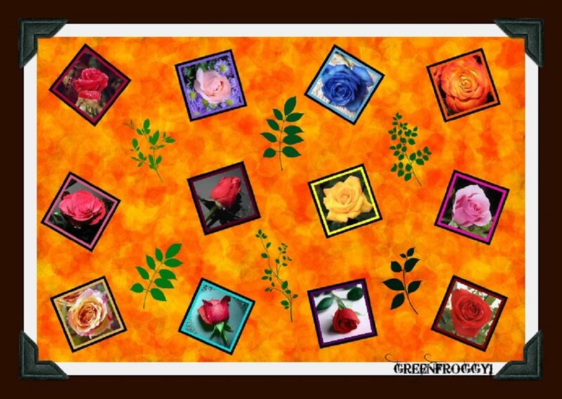 Colorful Rose Collage — Orange