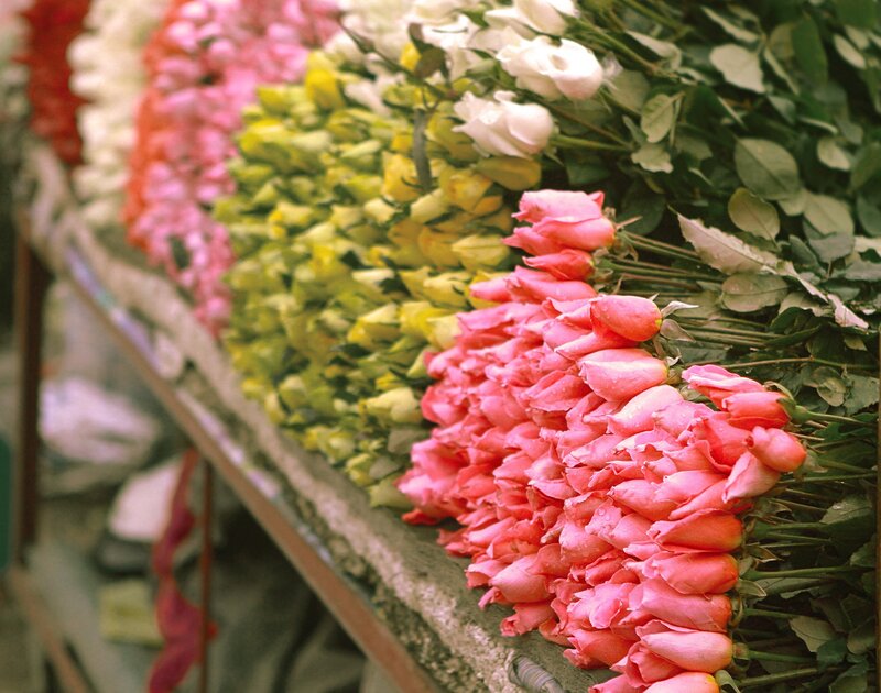 Colorful rose display at market