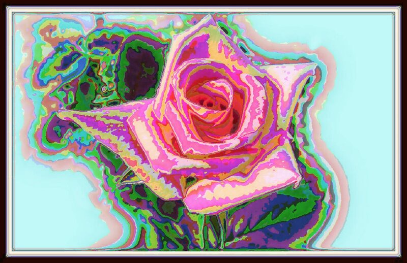 Colorful Rose Flower — Pink, Vibrant, Digital Art, Leaves