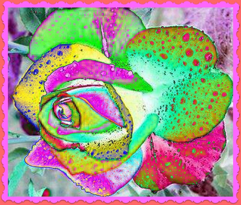 Colorful Rose Flower — Pink, Vibrant, Digital Art