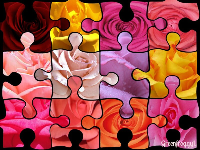 Colorful Rose Puzzle