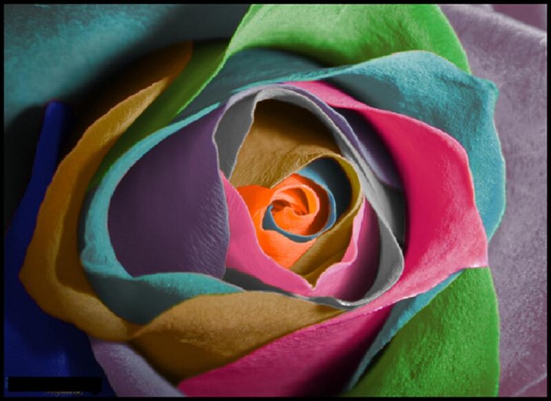 Colorful Rose Sculpture