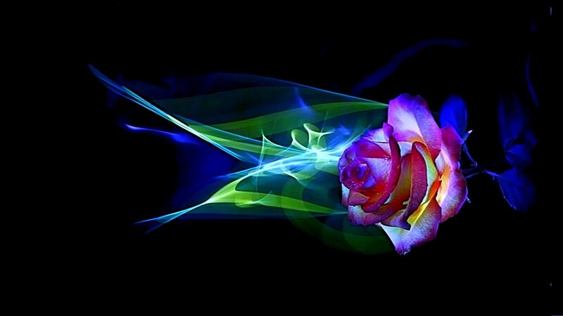 colorful rose with light trails