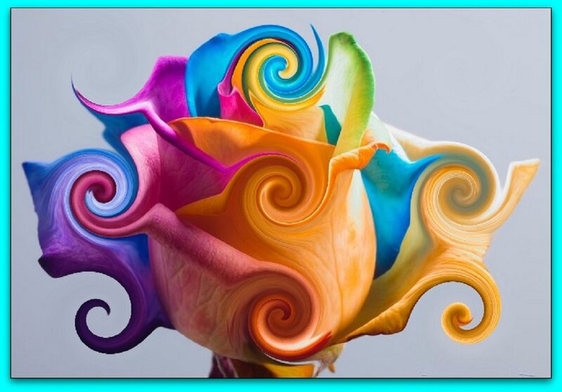 Colorful Rose with Swirls