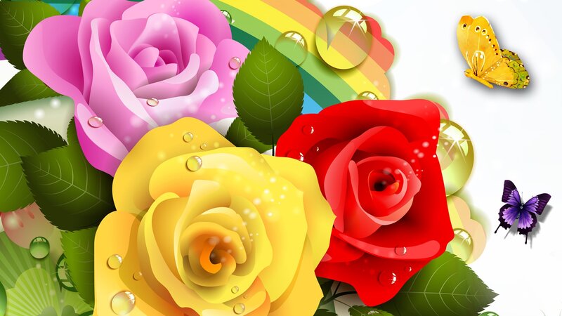 Colorful Roses and Butterflies — Pink