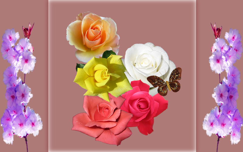 Colorful Roses and Butterfly