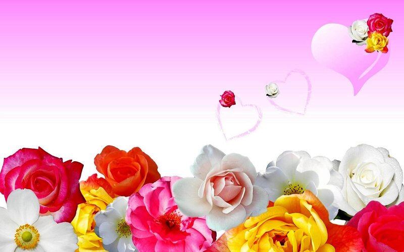 Colorful Roses and Hearts — Pink, Romantic