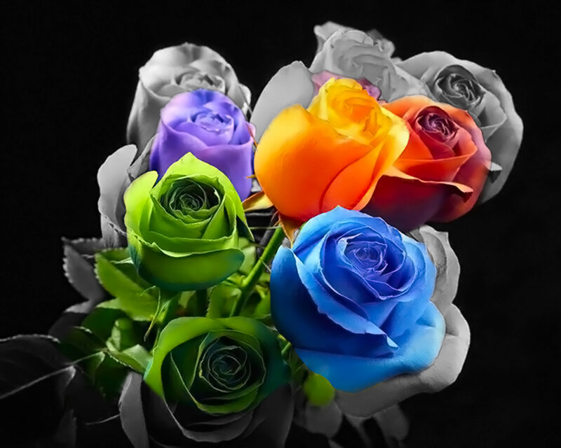Colorful Roses Bouquet — Green