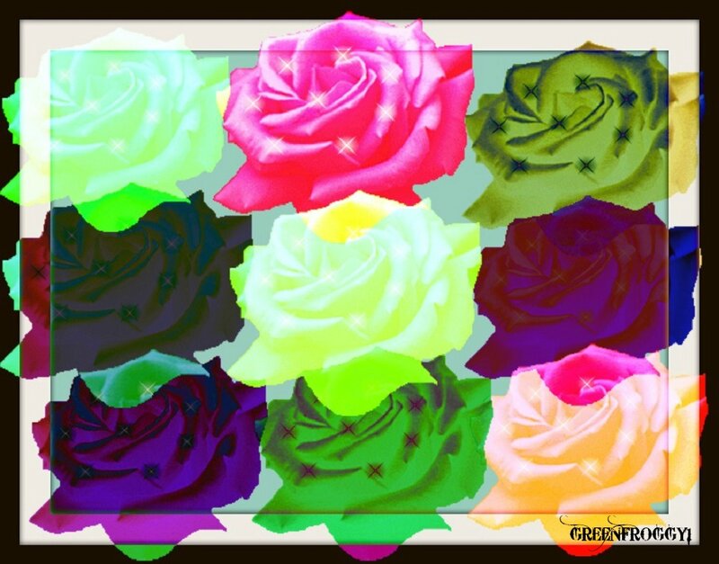 Colorful Roses Collage — Pink