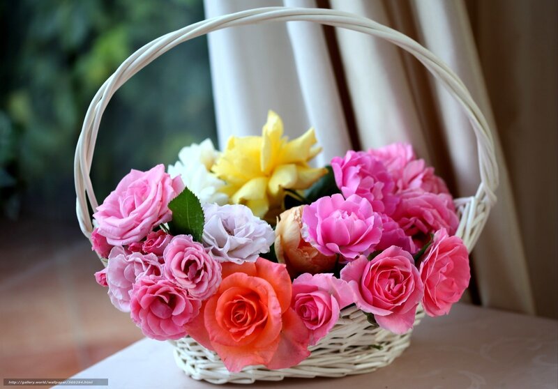 Colorful roses in a basket