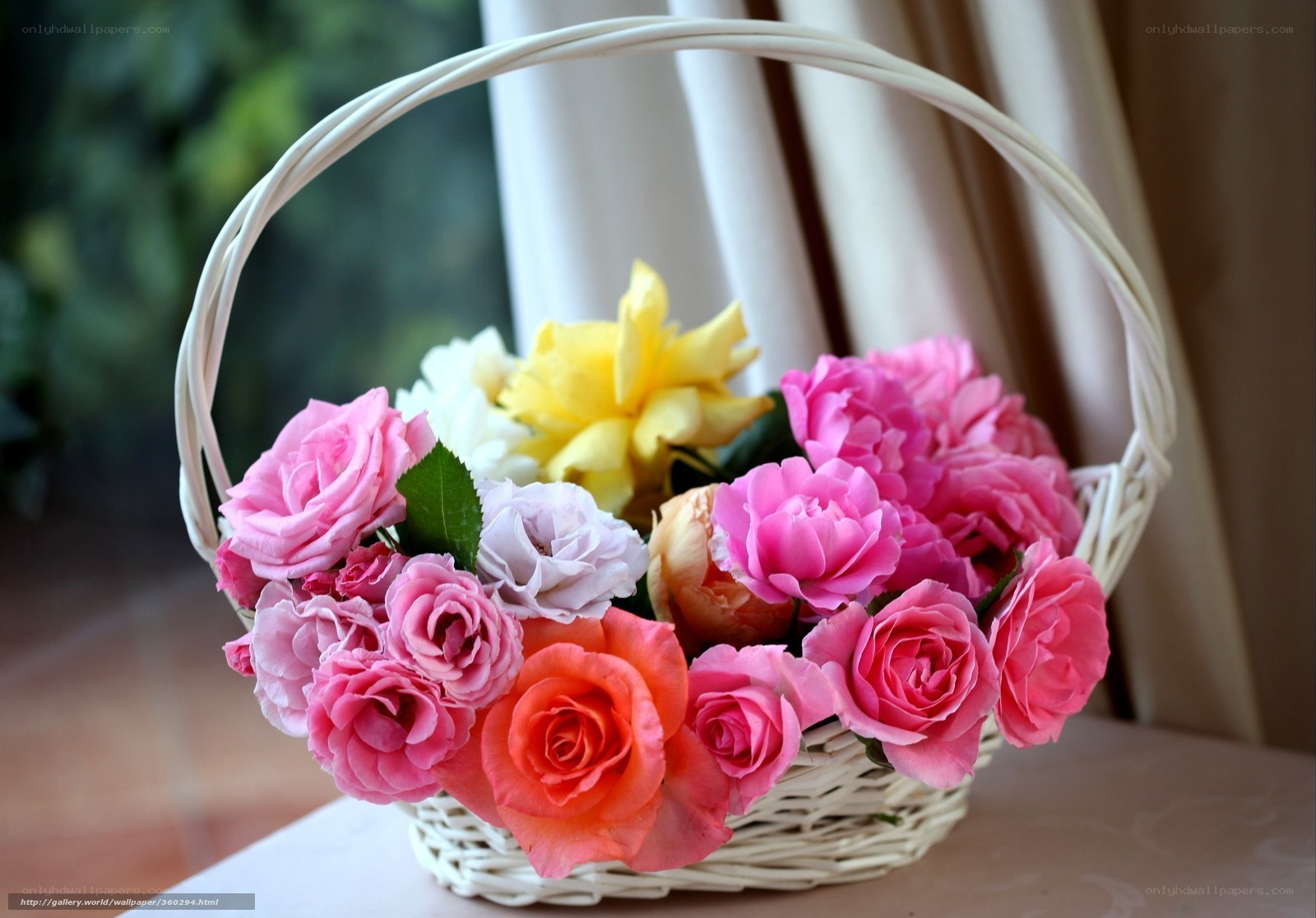 Colorful roses in a basket