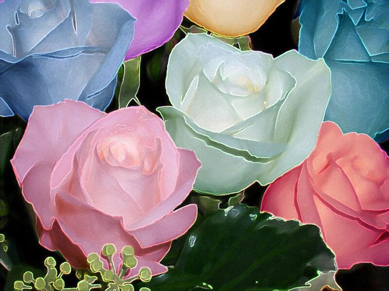 Colorful roses in a bouquet