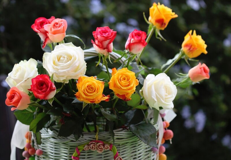 Colorful Roses in Basket