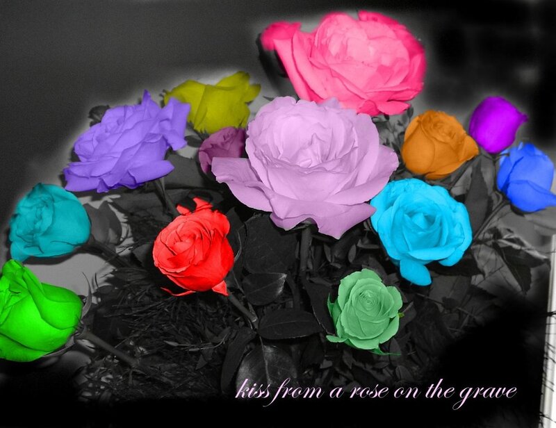 Colorful Roses in Bouquet — Pink