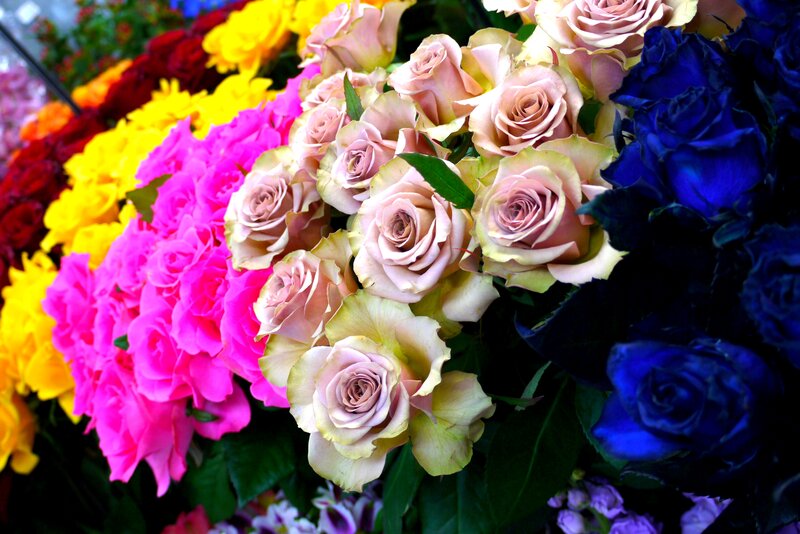 Colorful Roses in Bouquet — Pink, Vibrant