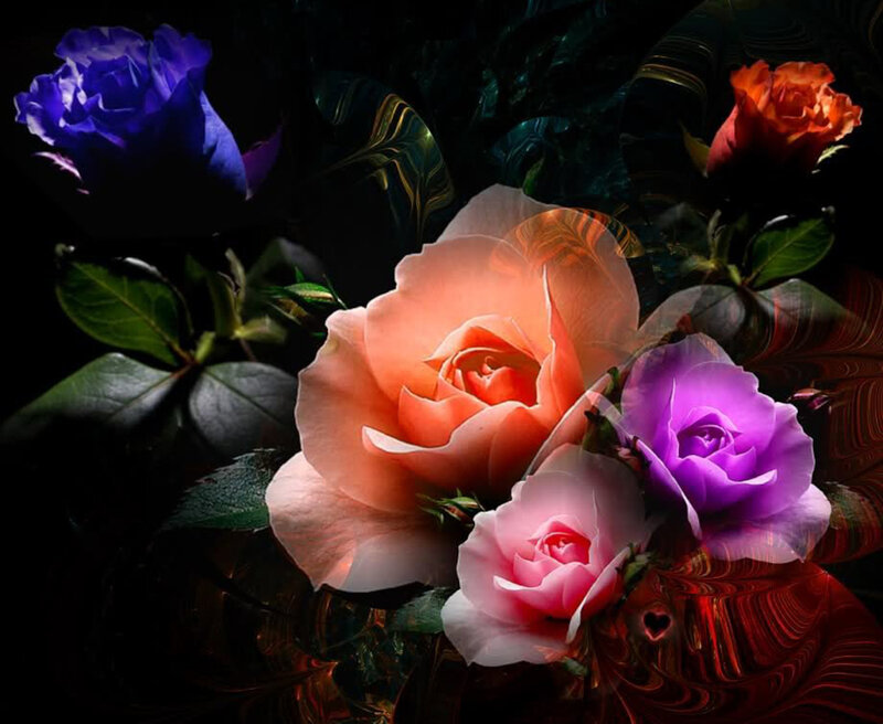 Colorful Roses in Bouquet — Purple