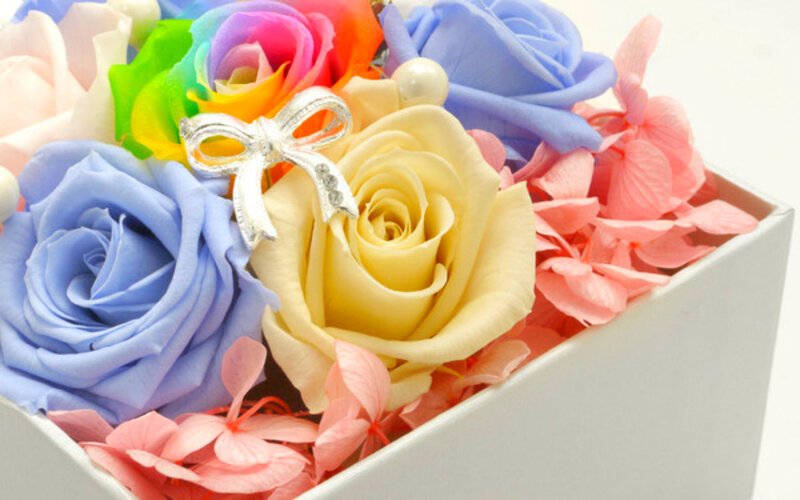 Colorful Roses in Box — Blue
