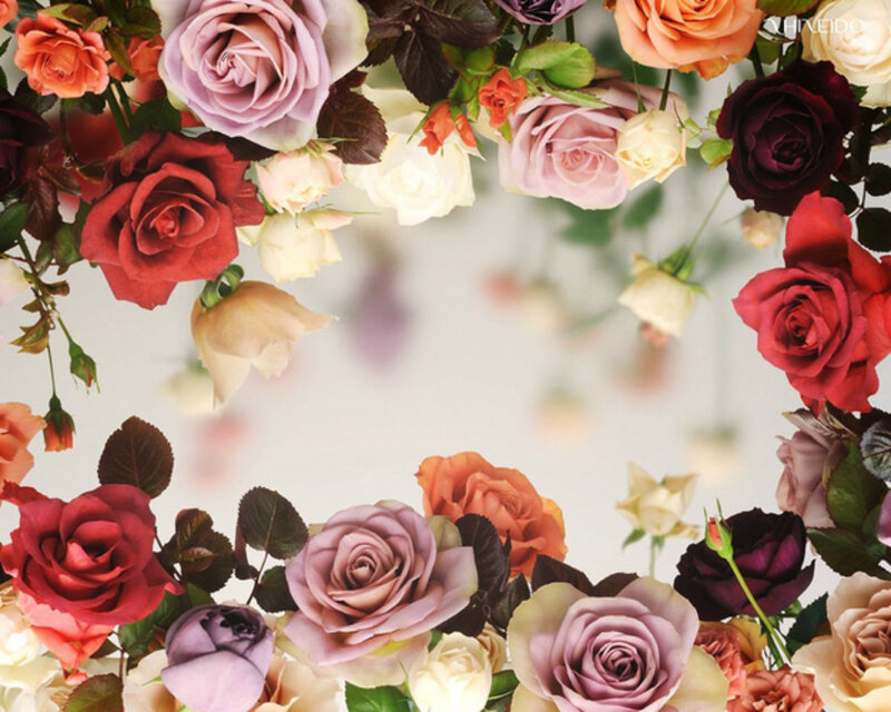Colorful Roses in Frame
