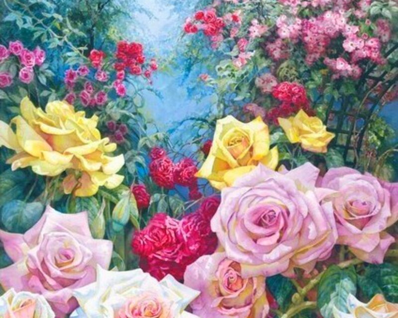 Colorful Roses in Garden — Pink, Serene