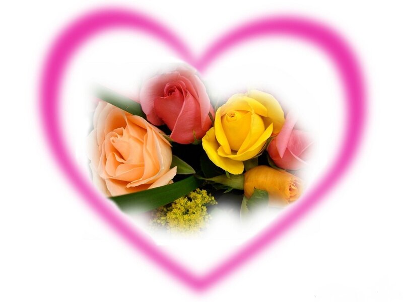 Colorful Roses in Heart