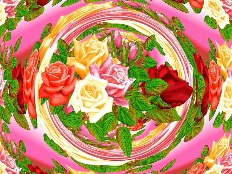Colorful Roses in Swirl
