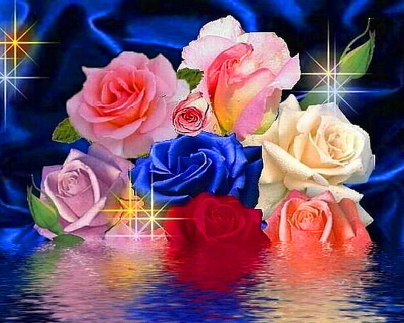 Colorful Roses in Water — Blue, Dramatic