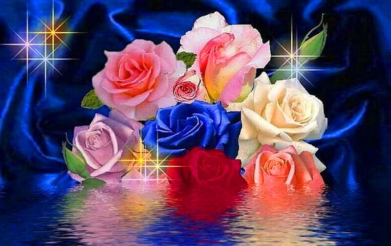 Colorful Roses in Water — Blue